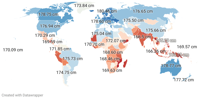 Average Height By Country